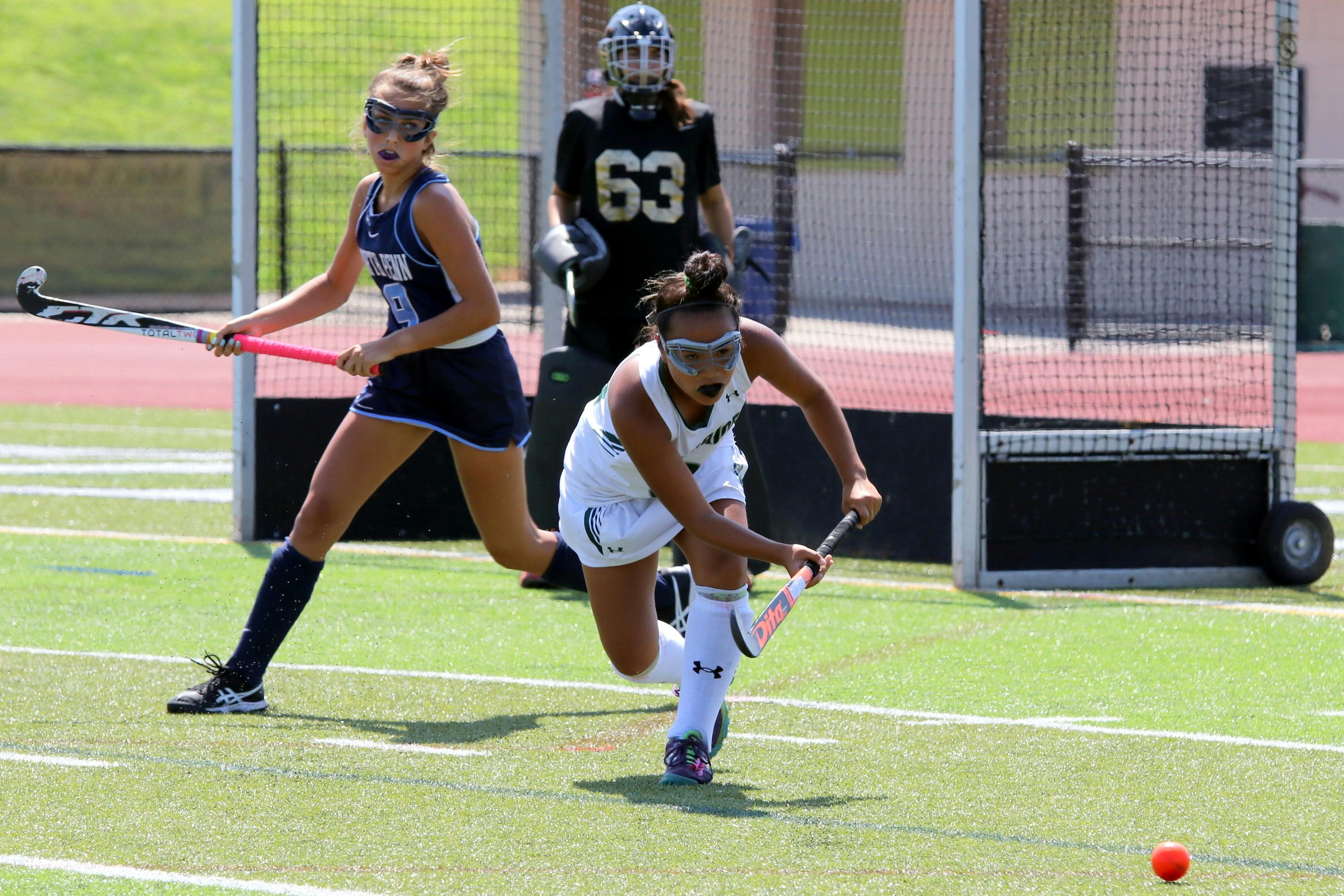 Advanced hockey training